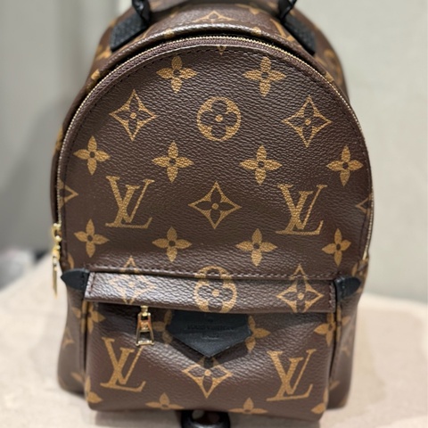 LV mini後背