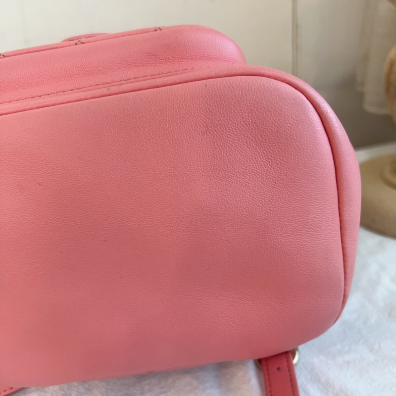 ෆ Chanel Duma後背包 粉色青蛙後背🌸-13