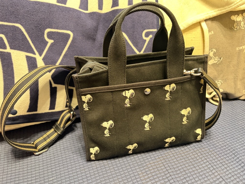 Coach 聯名Snoopy  刺繡帆布托特包 二手-3