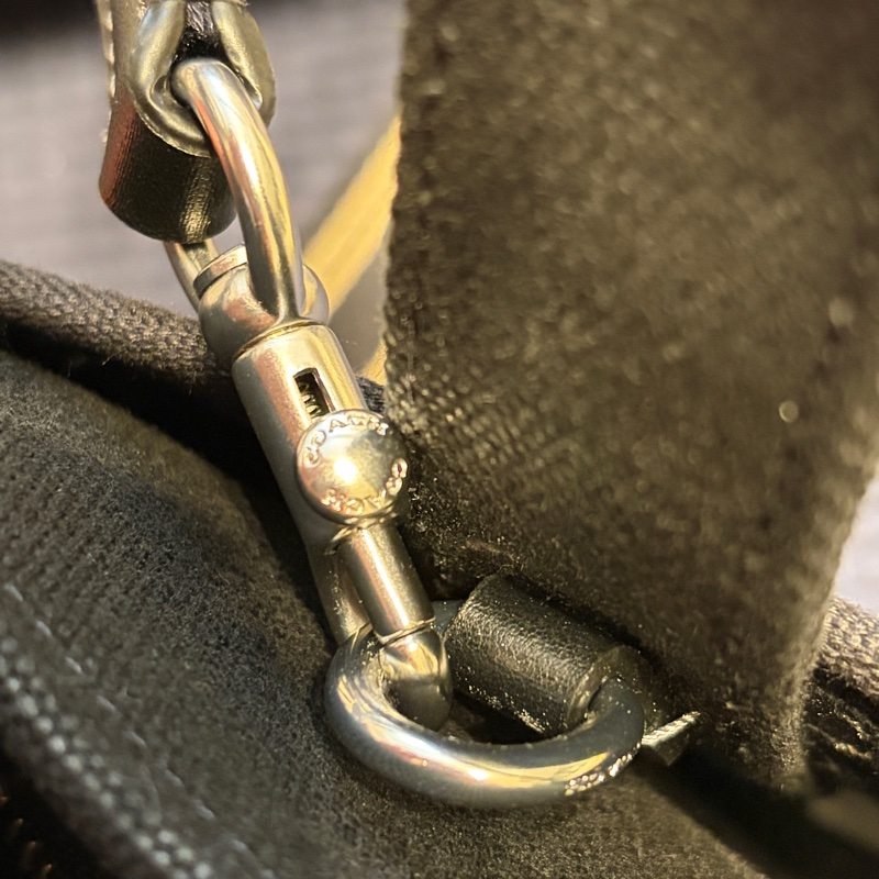 Coach 聯名Snoopy  刺繡帆布托特包 二手-9