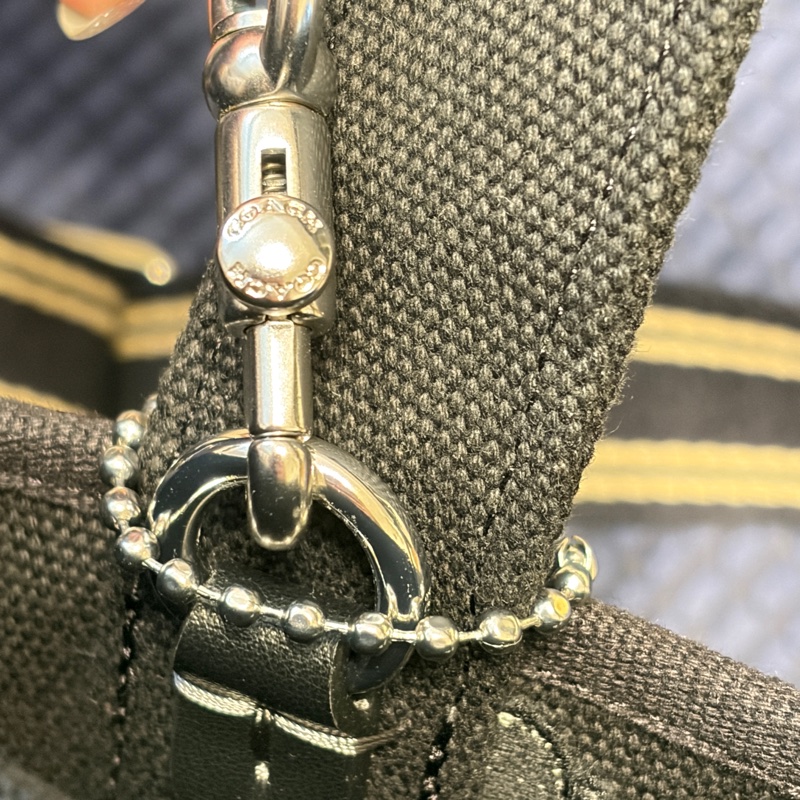 Coach 聯名Snoopy  刺繡帆布托特包 二手-11