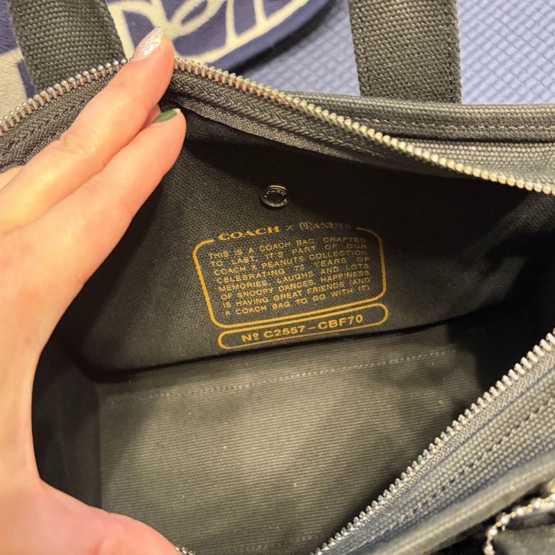 Coach 聯名Snoopy  刺繡帆布托特包 二手-4