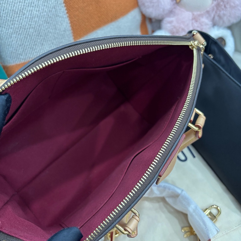 【近新閒置品】Louis Vuitton 路易威登 LV 新款老花餃子包芯片款手提肩背包-7