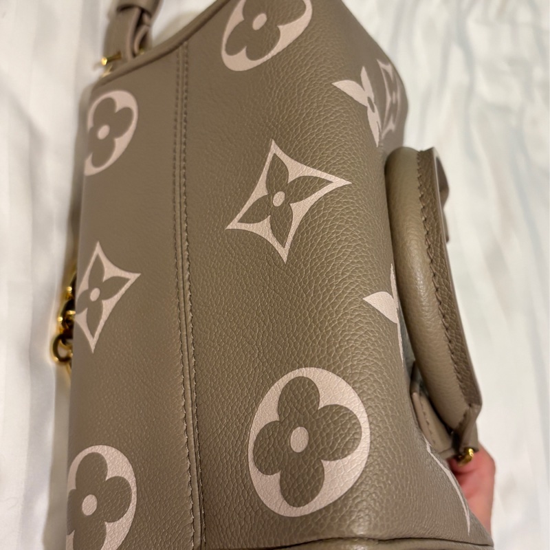 LV speedy20斑鳩灰真皮包-2