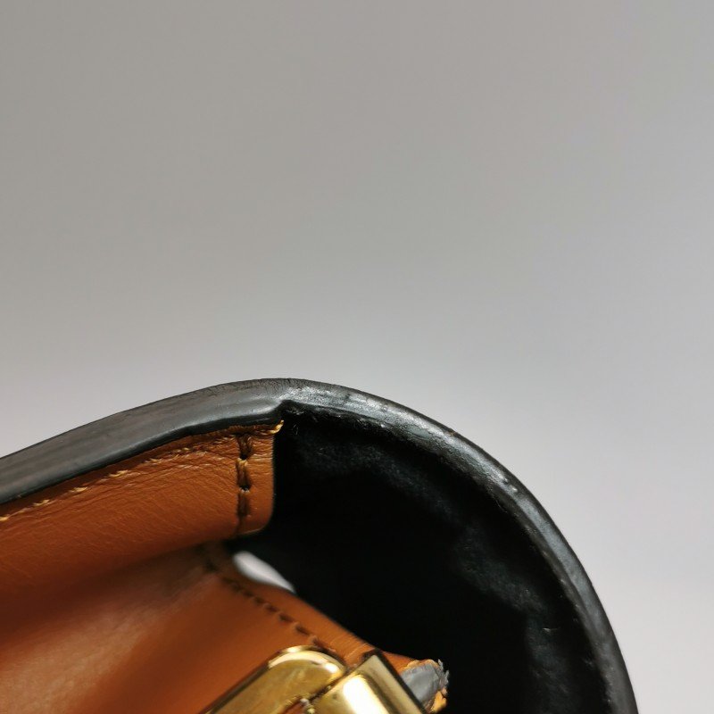 Louis Vuitton(LV)Dauphine達芙妮中號牛皮拼色Monogram印花LV搭扣單肩包晶片款-21