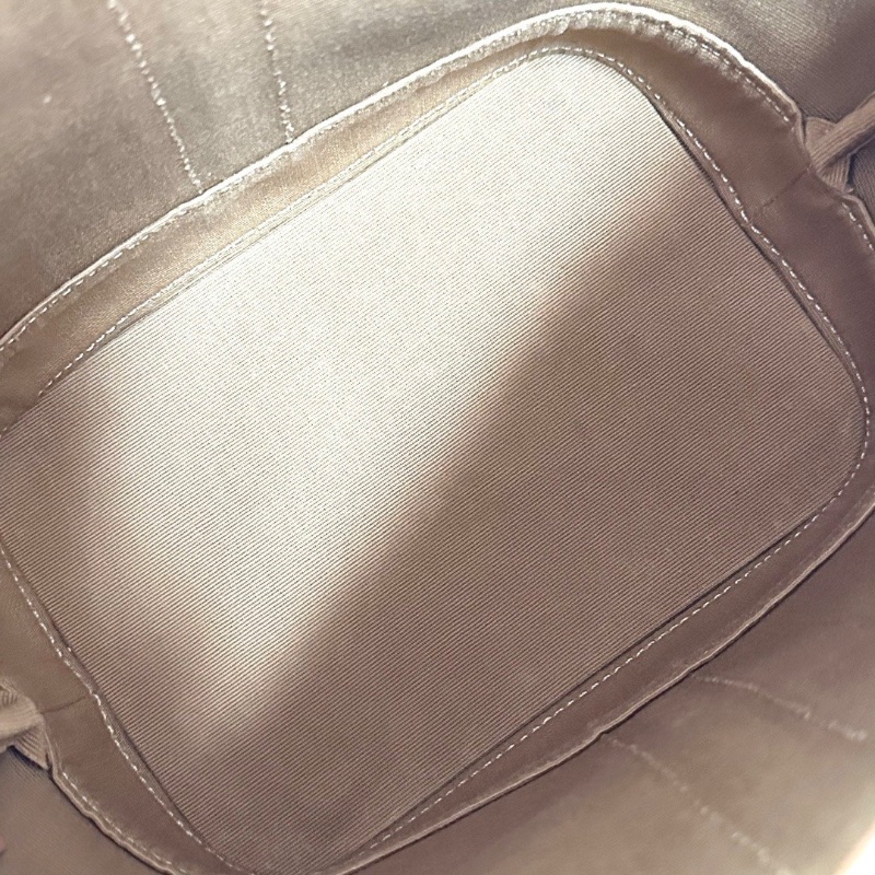 CELINE Triomphe老花肩背斜背水桶包18*22*12 98新配件塵袋-2