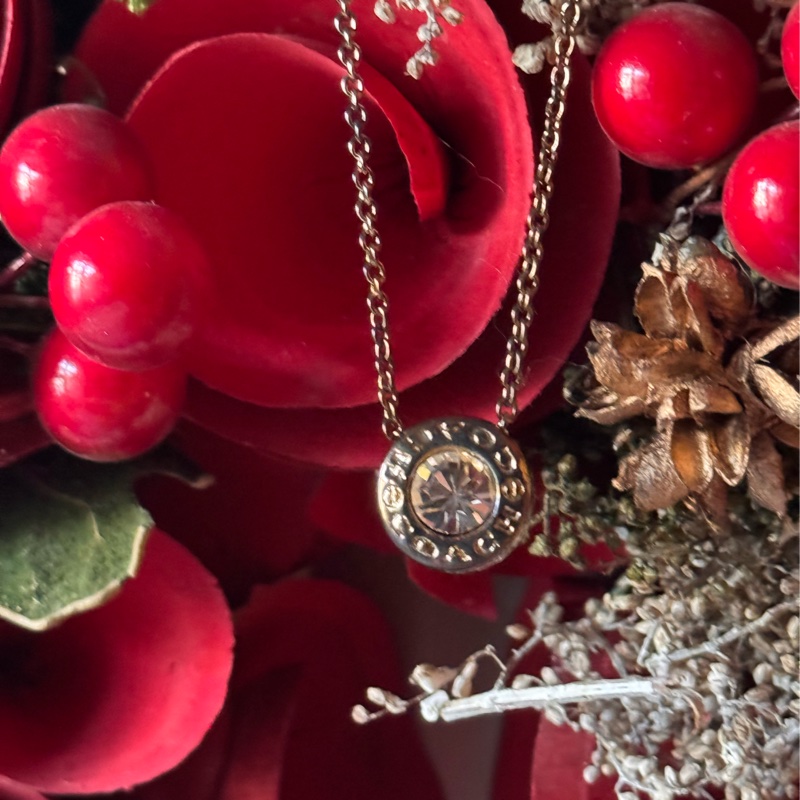 Coach 頸鍊連耳環-4