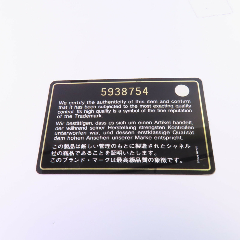 CHANEL 尼龍Travel Line Backpack銀扣背包-18