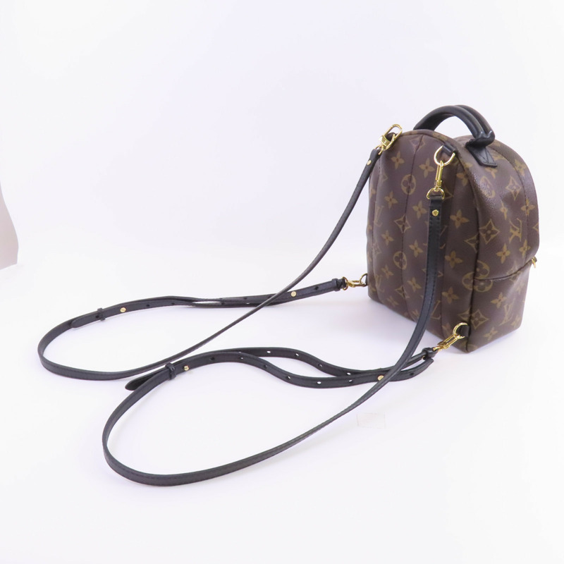 LOUIS VUITTON Monogram Palm Springs PM Backpack金扣背包-5