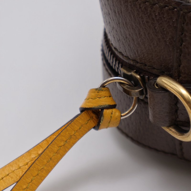 GUCCI Superme虎頭老花相機包-5