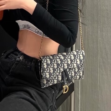 絕美日常款✨99新🆕Dior迪奧老花Saddle小號woc單肩斜挎包-6