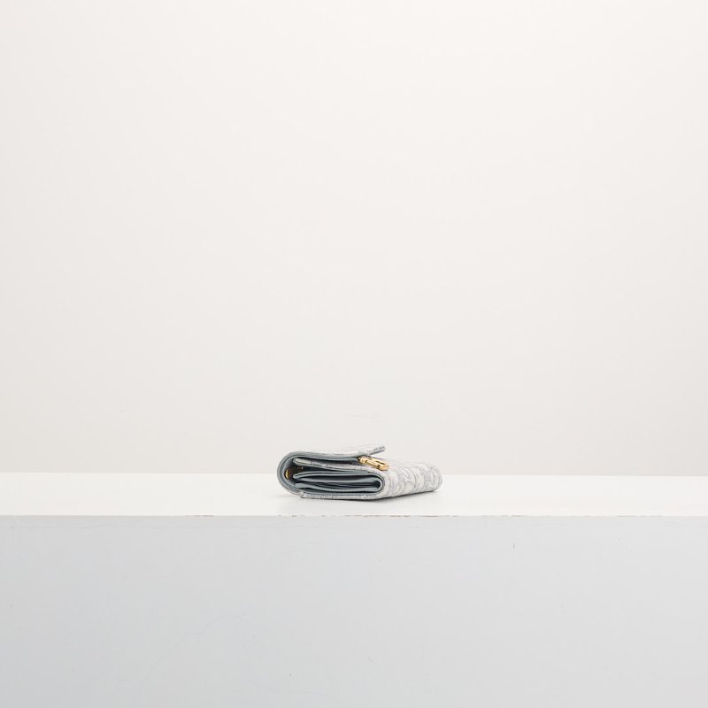 DIOR saddle 馬鞍短夾/灰老花-2