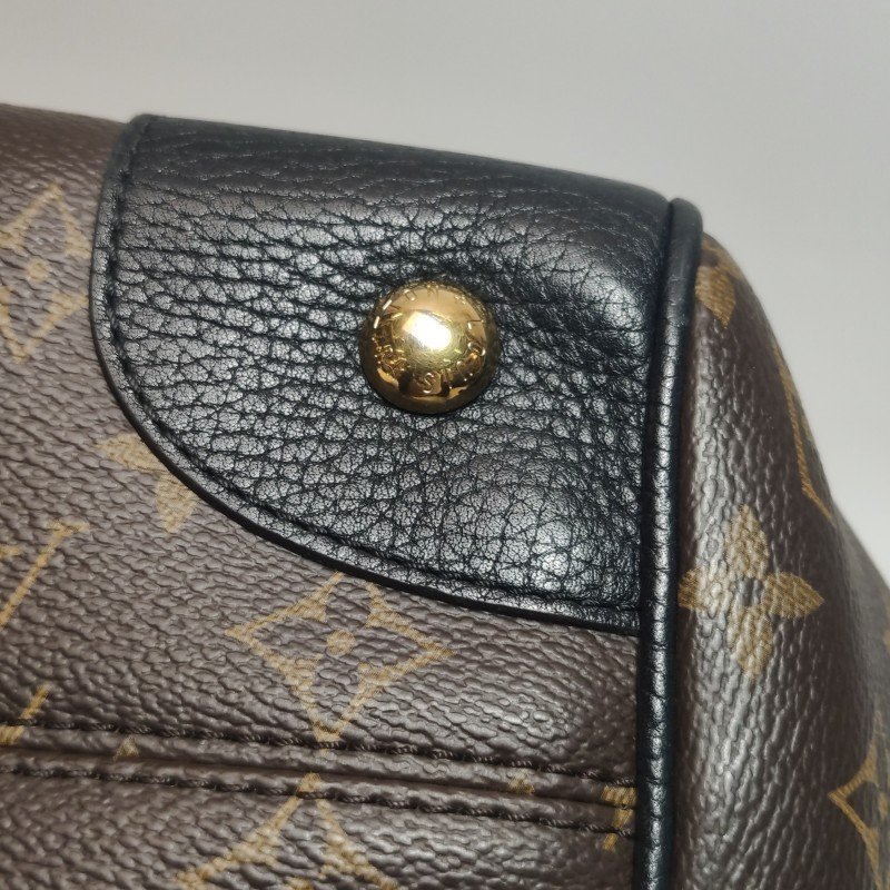 Louis Vuitton(LV)Estrela牛皮拼色Monogram印花餃子包單肩包-14