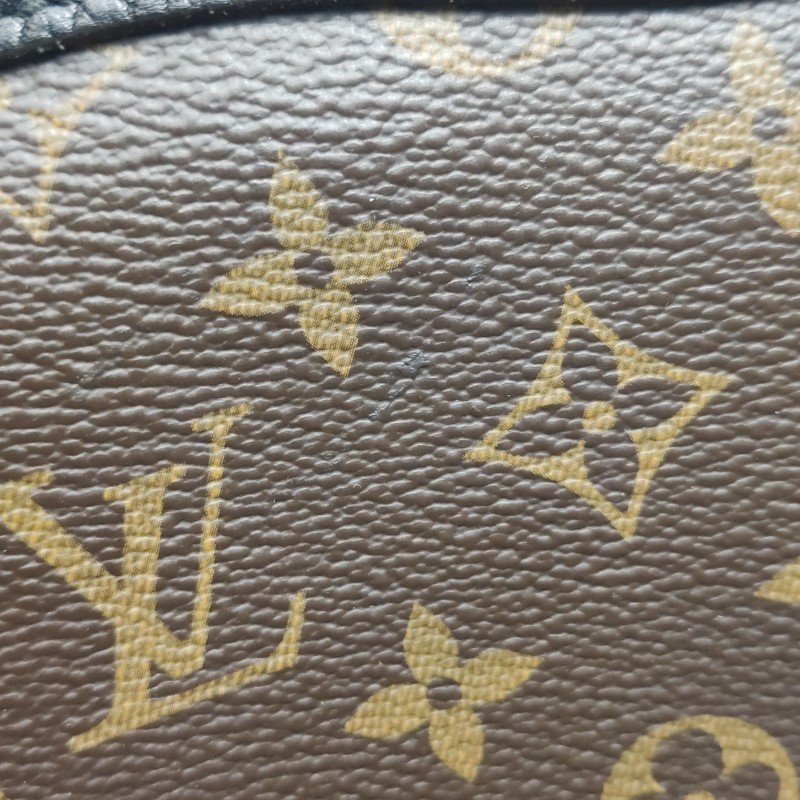 Louis Vuitton(LV)Estrela牛皮拼色Monogram印花餃子包單肩包-20