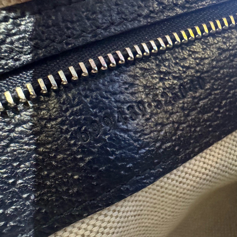 Gucci古馳Ophidia系列OPHDIA相機包699439-20