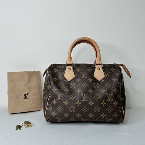 LV Speedy 25波士頓手提包
