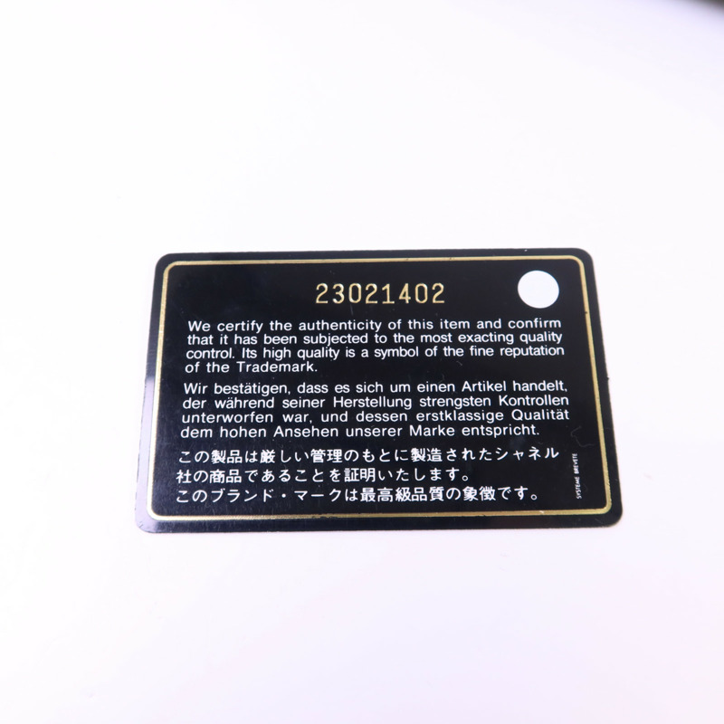 CHANEL 牛皮皮革Pouch金扣手拿包-9