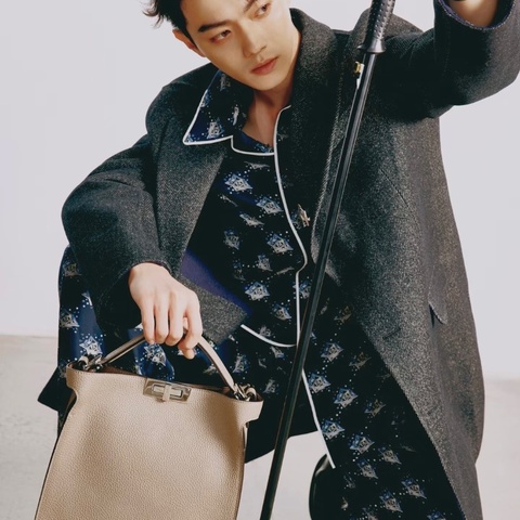 FENDI peekaboo系列大象灰銀扣手提肩背公事包17*33*8 98新配件塵袋雨衣