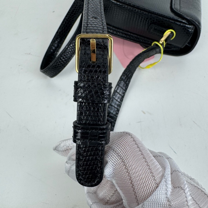 Celine Cbag 流蘇黑金 稀有皮 單肩包-2