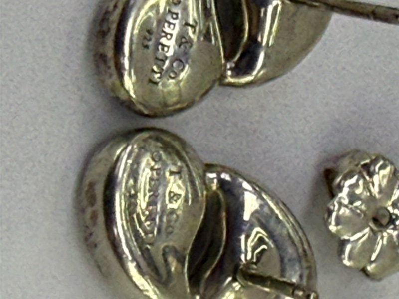 Tiffany & Co Earring-10