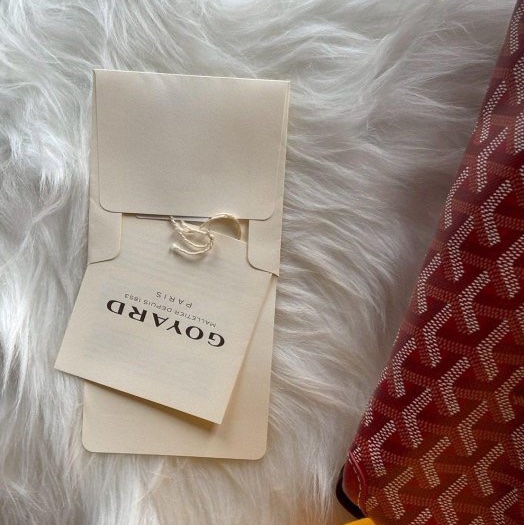 Goyard亮眼但不刺眼的紅色新款有拉鏈的MM托特-12