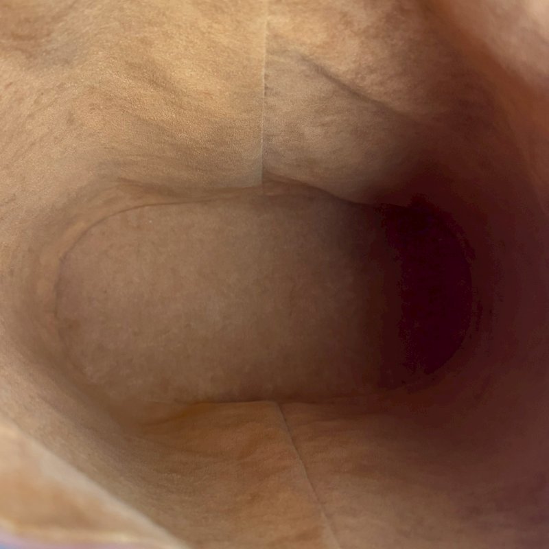 ✨萬元內買到手 超耐刮 LV 焦糖色EPI材質水桶後背包-2