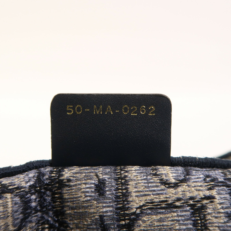 Dior 帆布Book Tote Medium手挽袋-6