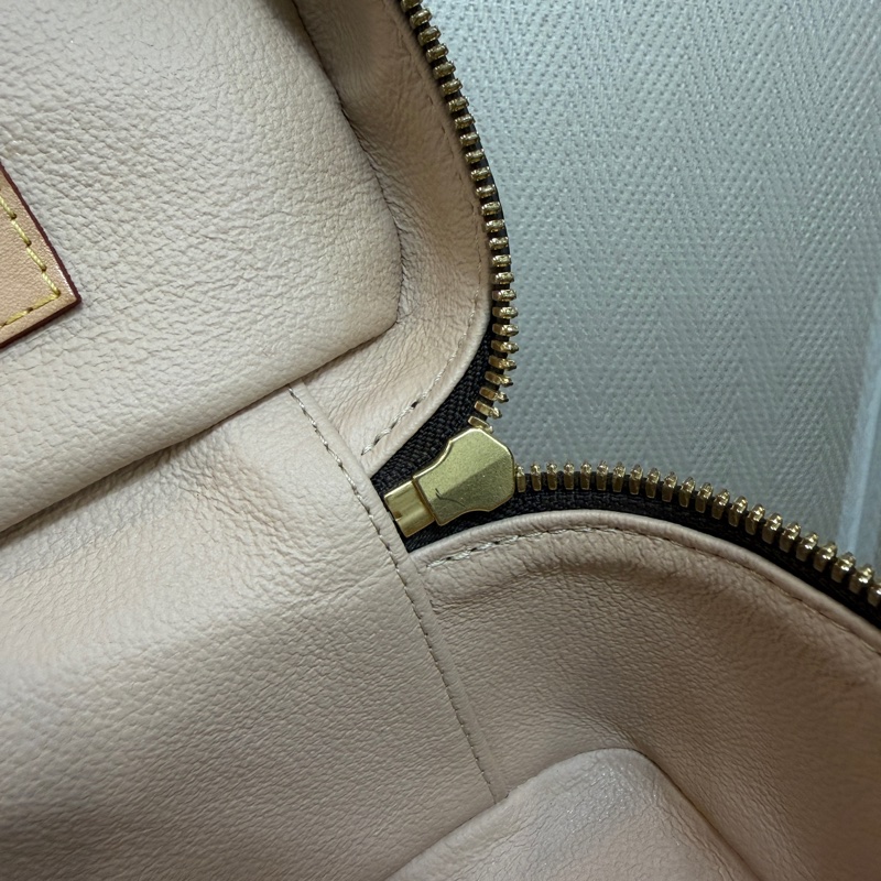 LV 原花金釦nice nano手提化妝包M44936-20