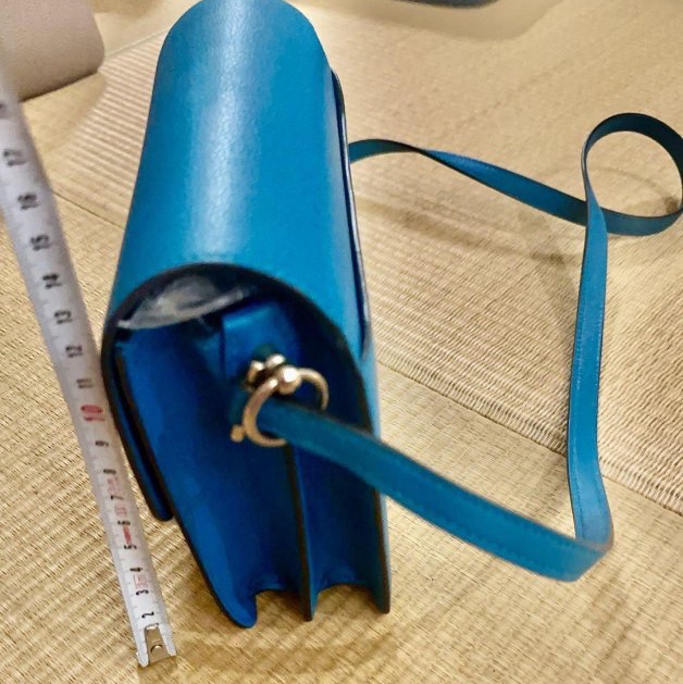 ❤️ 愛🐎人要能「裝」的小可愛/Hermès Roulis希臘藍小🐷包❤️-2