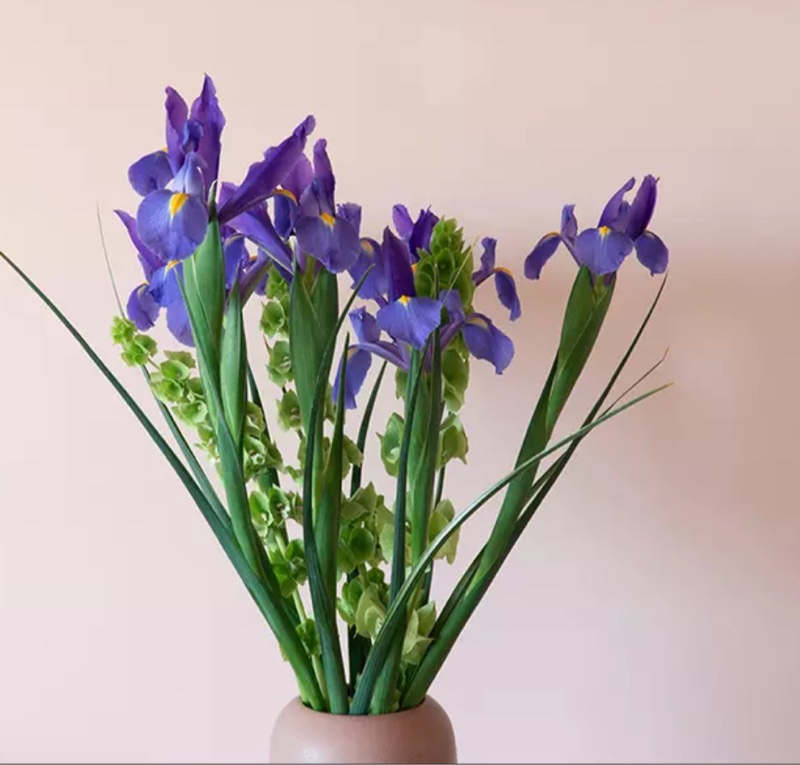 2026紫色浪潮強勢回歸 Hermès Bolide 27優雅鳶尾紫-5