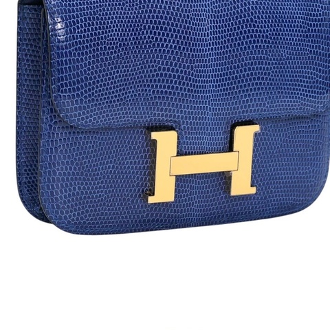 Hermes micro constance lizard 🐊