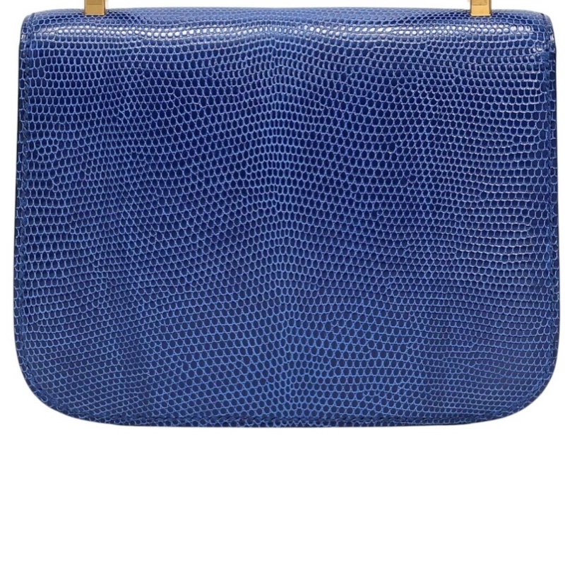 Hermes micro constance lizard 🐊-1