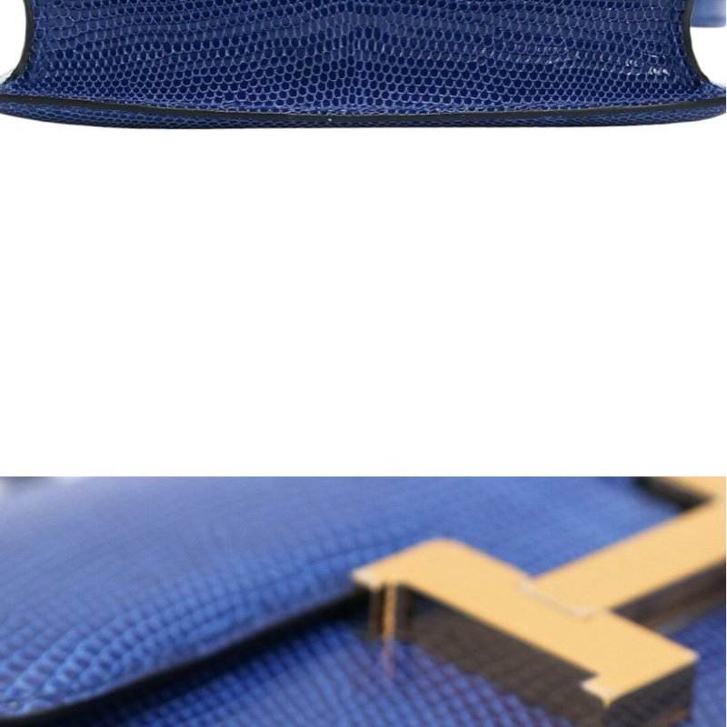 Hermes micro constance lizard 🐊-4