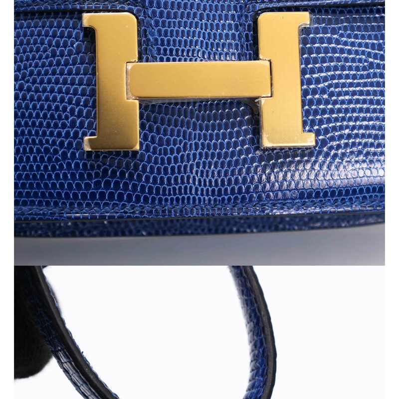 Hermes micro constance lizard 🐊-10