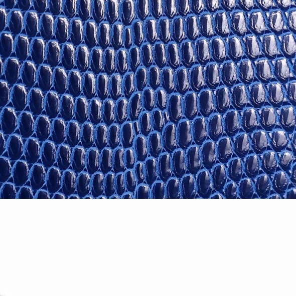 Hermes micro constance lizard 🐊-12