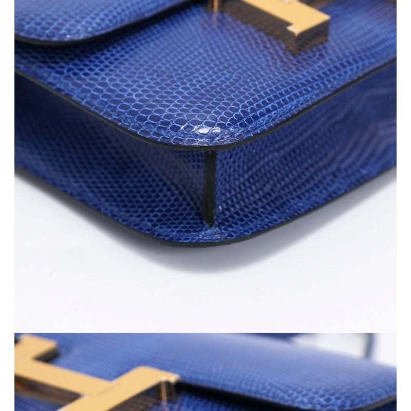 Hermes micro constance lizard 🐊-15