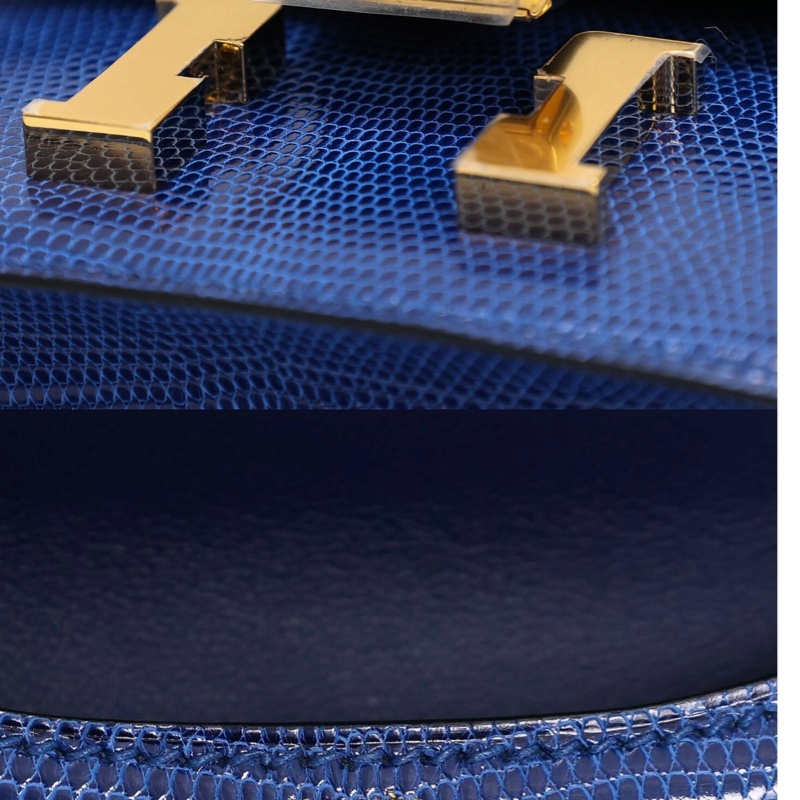 Hermes micro constance lizard 🐊-17