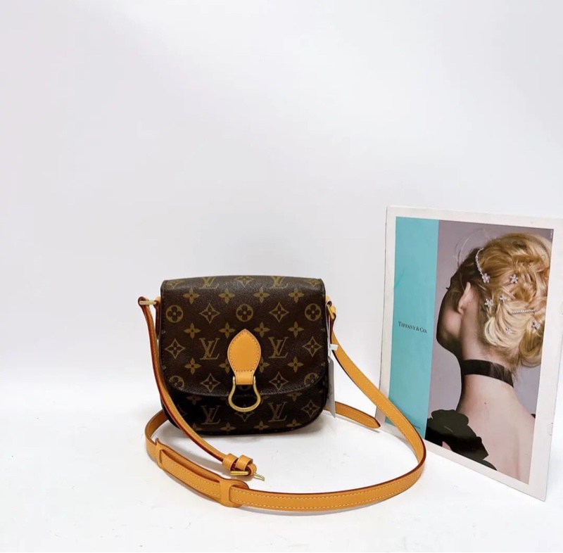 【90%新✨全網最低價】LV  Saint Cloud GM vintage老花中號馬鞍包-0