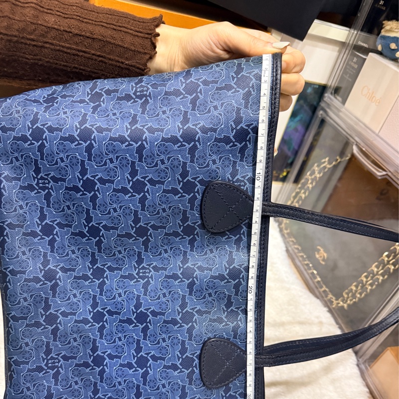 Celine 馬車老花滿版 never full小托特 防刮防潑水材質 可輕鬆上肩 自重蠻輕 平板 A4可放入-5