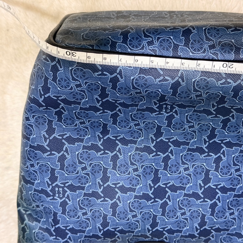 Celine 馬車老花滿版 never full小托特 防刮防潑水材質 可輕鬆上肩 自重蠻輕 平板 A4可放入-8