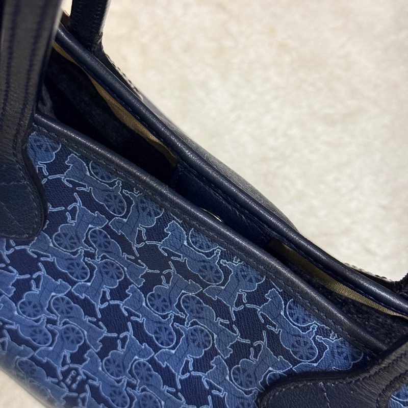 Celine 馬車老花滿版 never full小托特 防刮防潑水材質 可輕鬆上肩 自重蠻輕 平板 A4可放入-22