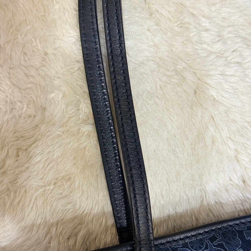 Celine 馬車老花滿版 小托特 上肩舒適 是好揹的🎁送內膽包 防刮防潑水材質 很耐用 自重蠻輕-39