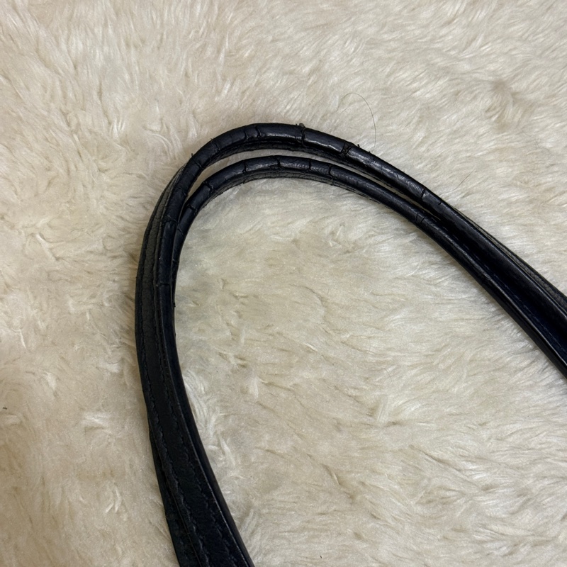 Celine 馬車老花滿版 小托特 上肩舒適 是好揹的🎁送內膽包 防刮防潑水材質 很耐用 自重蠻輕-41