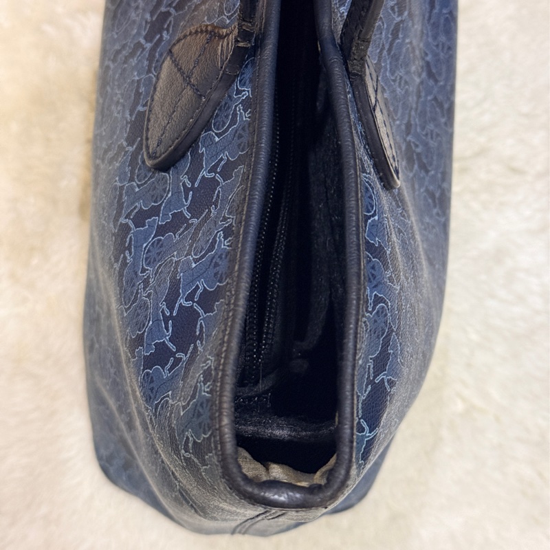 Celine 馬車老花滿版 小托特 上肩舒適 是好揹的🎁送內膽包 防刮防潑水材質 很耐用 自重蠻輕-47