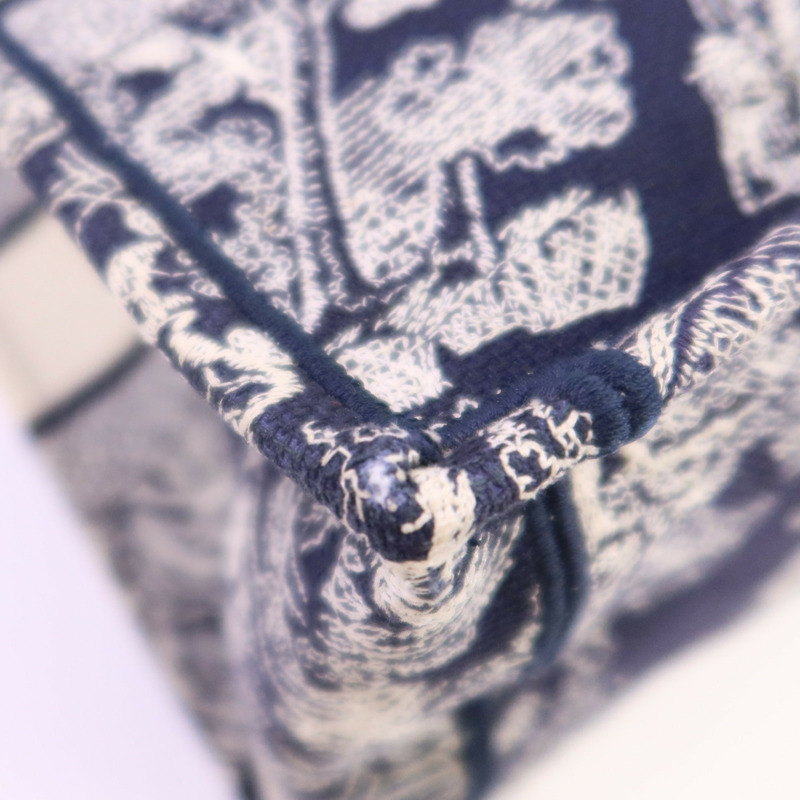 Dior 帆布Book Tote Medium手挽袋-5