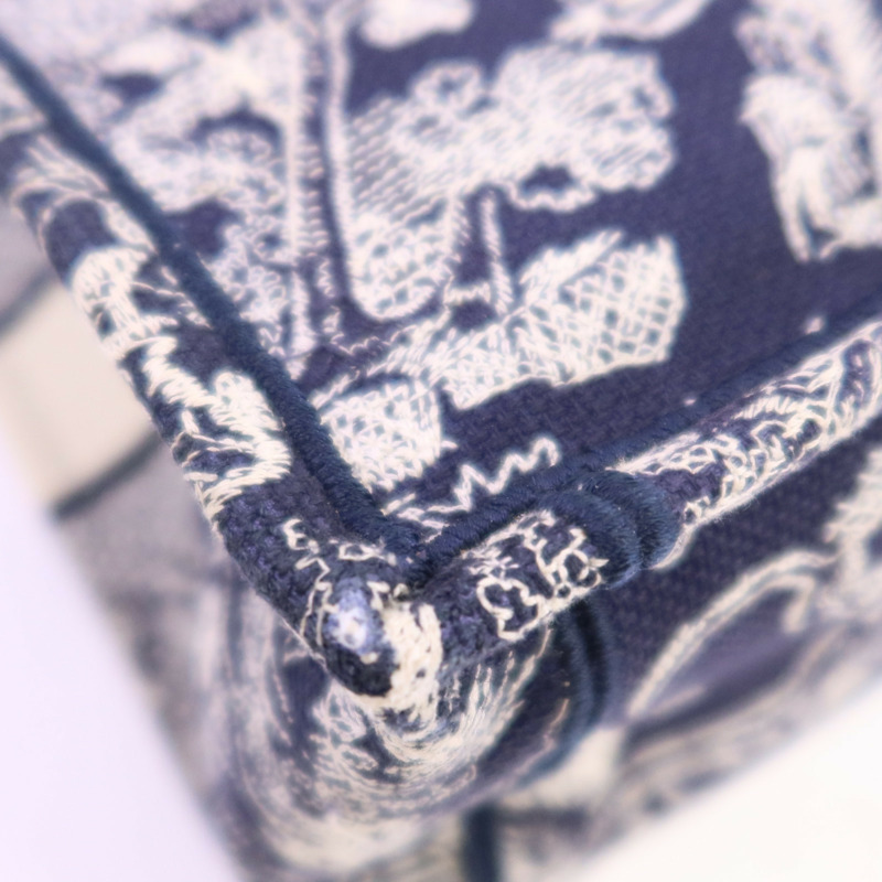 Dior 帆布Book Tote Medium手挽袋-7