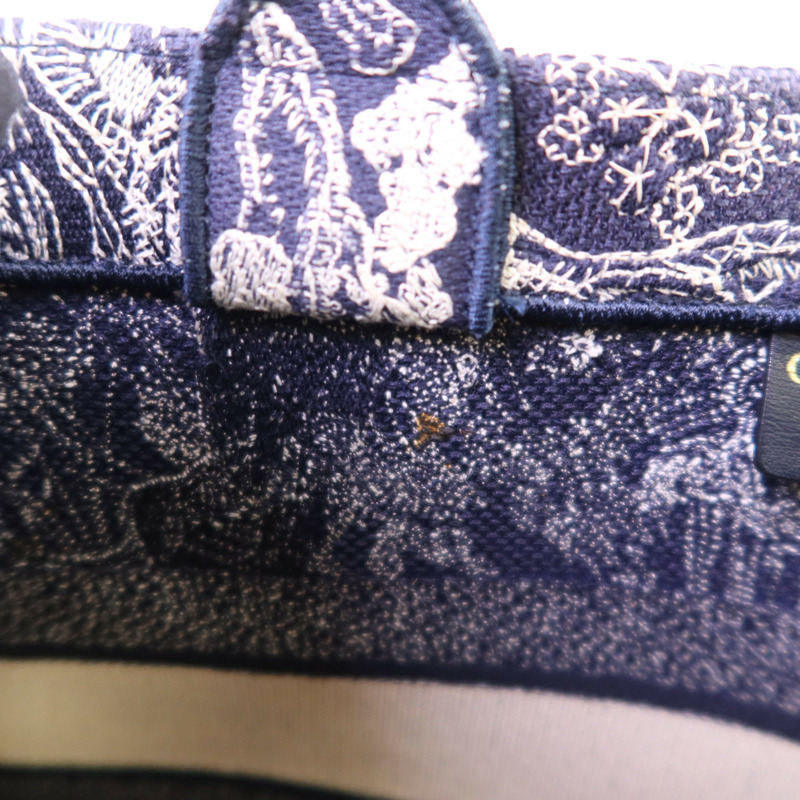 Dior 帆布Book Tote Medium手挽袋-13