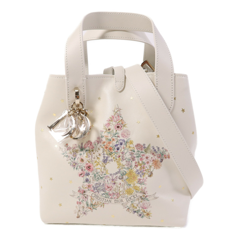 Dior 牛皮皮革Lucky Small Dior Toujours Vertical金扣手挽肩背兩用袋-0