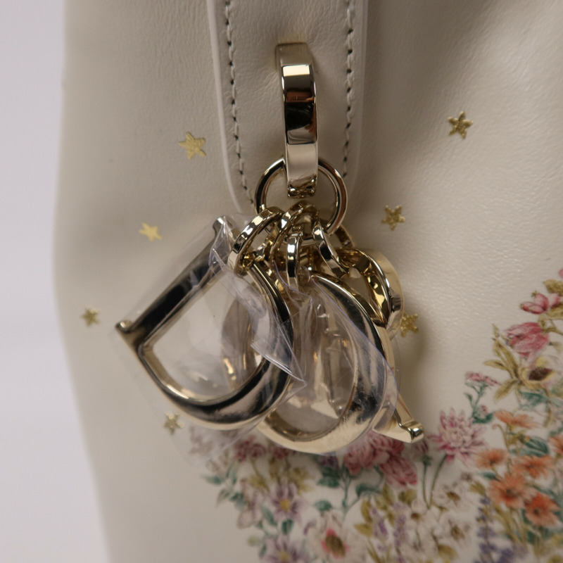 Dior 牛皮皮革Lucky Small Dior Toujours Vertical金扣手挽肩背兩用袋-6