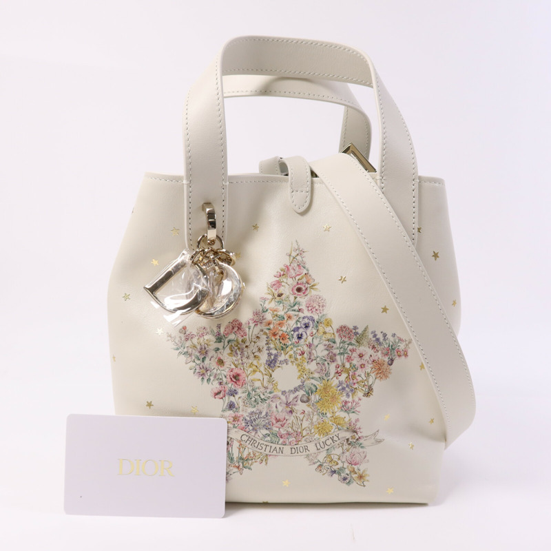 Dior 牛皮皮革Lucky Small Dior Toujours Vertical金扣手挽肩背兩用袋-9